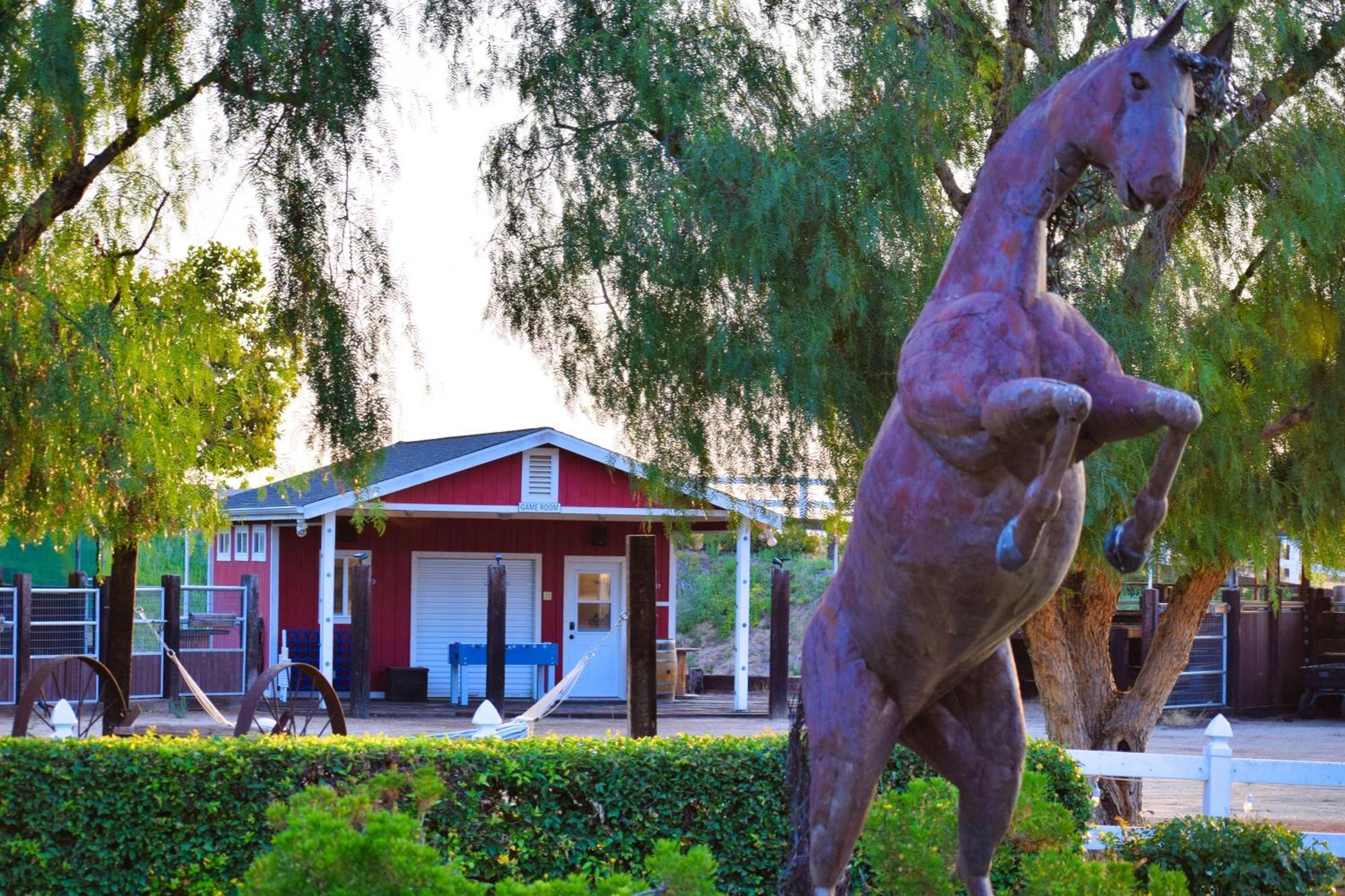 蒂梅丘拉 Peppertree Lane Ranch -- Seven-Acre Ranch In The Heart Of Wine Country酒店 外观 照片