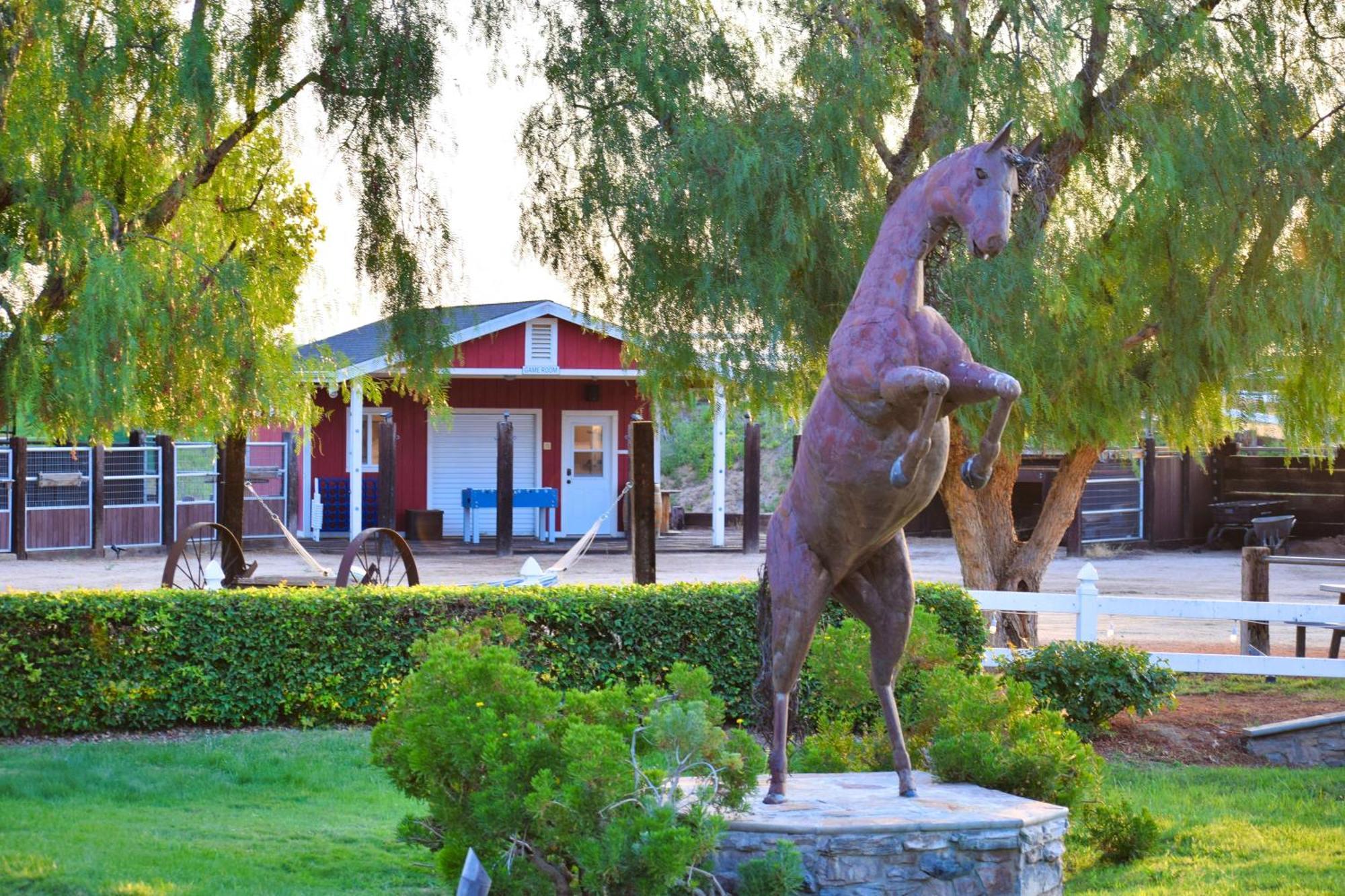 蒂梅丘拉 Peppertree Lane Ranch -- Seven-Acre Ranch In The Heart Of Wine Country酒店 外观 照片