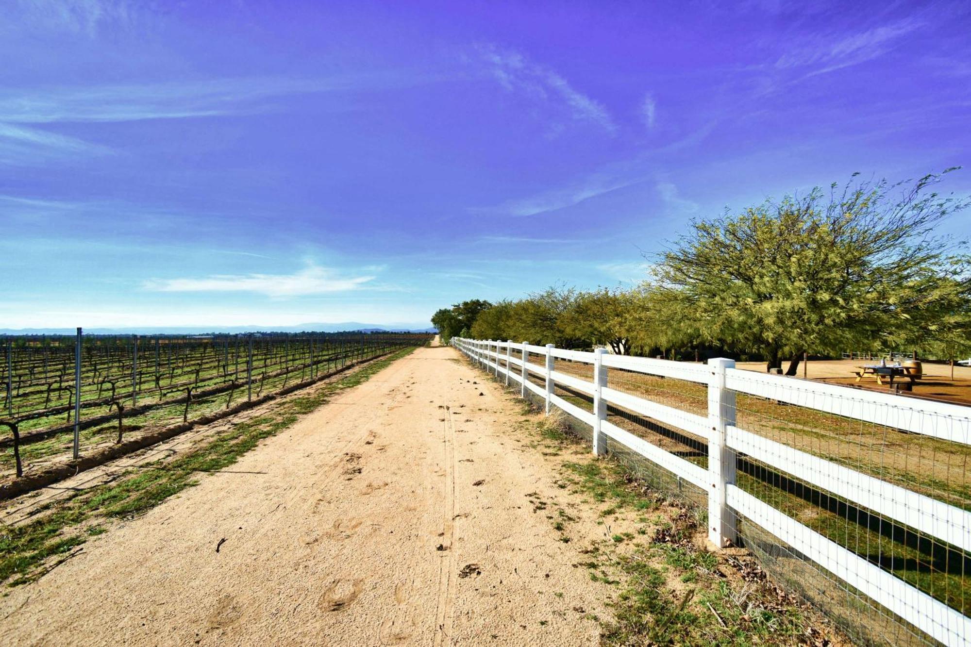 蒂梅丘拉 Peppertree Lane Ranch -- Seven-Acre Ranch In The Heart Of Wine Country酒店 外观 照片